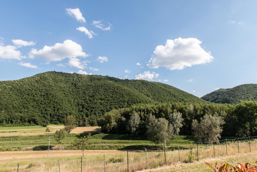 Il Colombaio Agriturismo Montegabbione Екстериор снимка