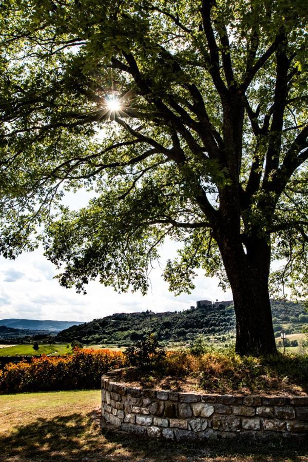 Il Colombaio Agriturismo Montegabbione Екстериор снимка