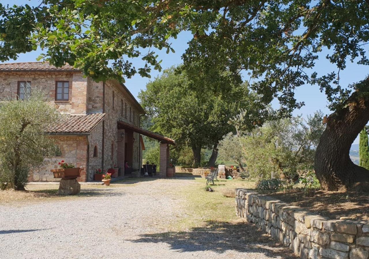 Il Colombaio Agriturismo Montegabbione Екстериор снимка